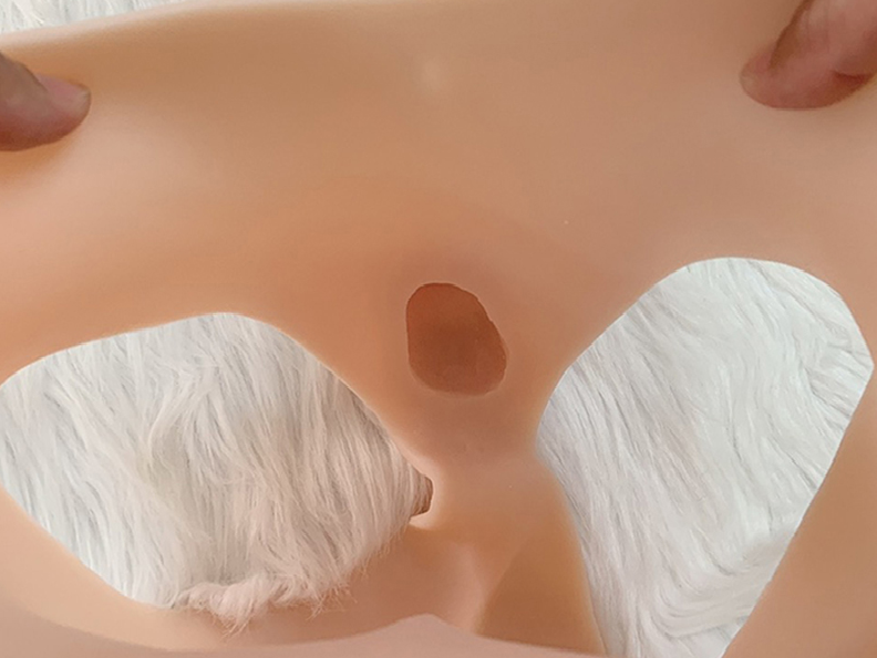 Quần da silicone có dương vật giả dài như con trâu