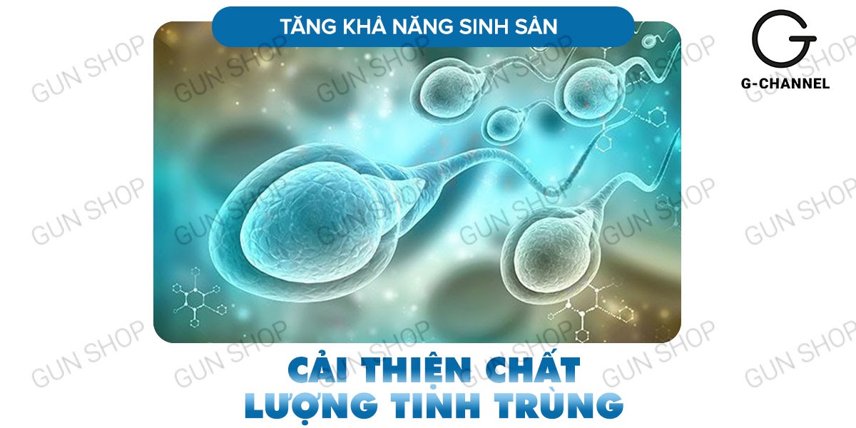 Thuốc hỗ trợ cương cứng Maxman